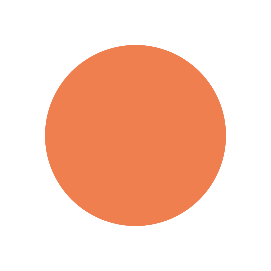 Dye Chips - Rust Orange