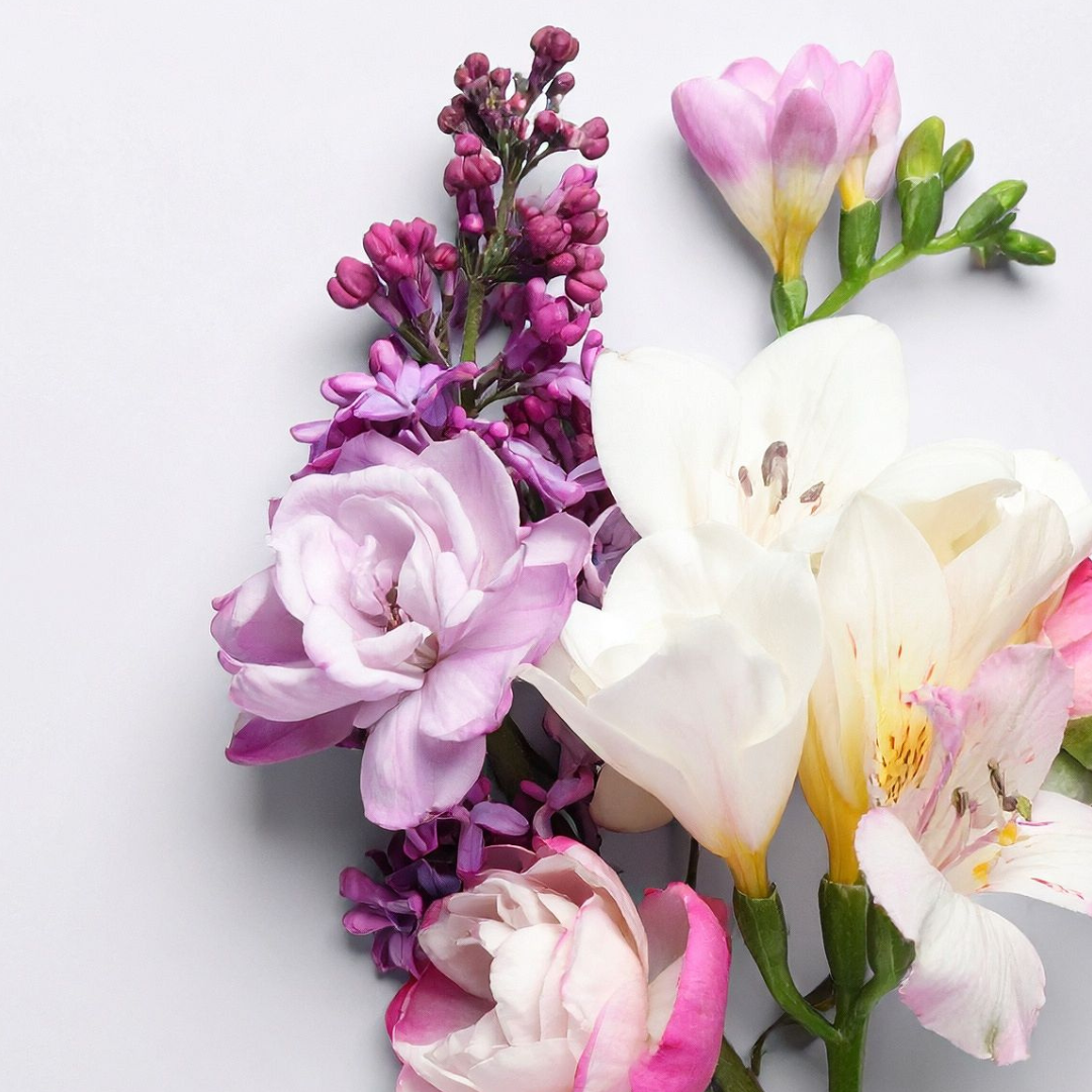 Fragrance oil - Chloe Type