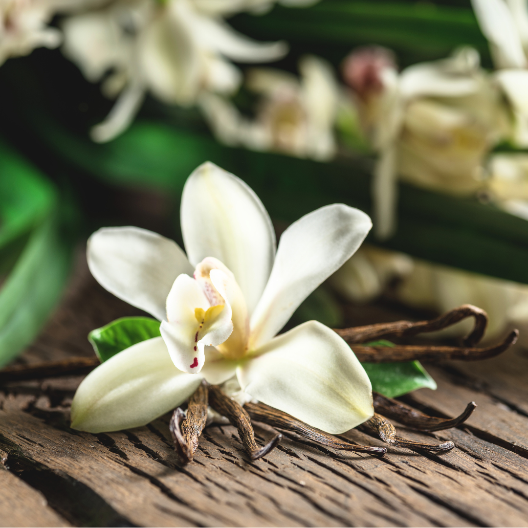 Fragrance oil - Vanilla 28 Type