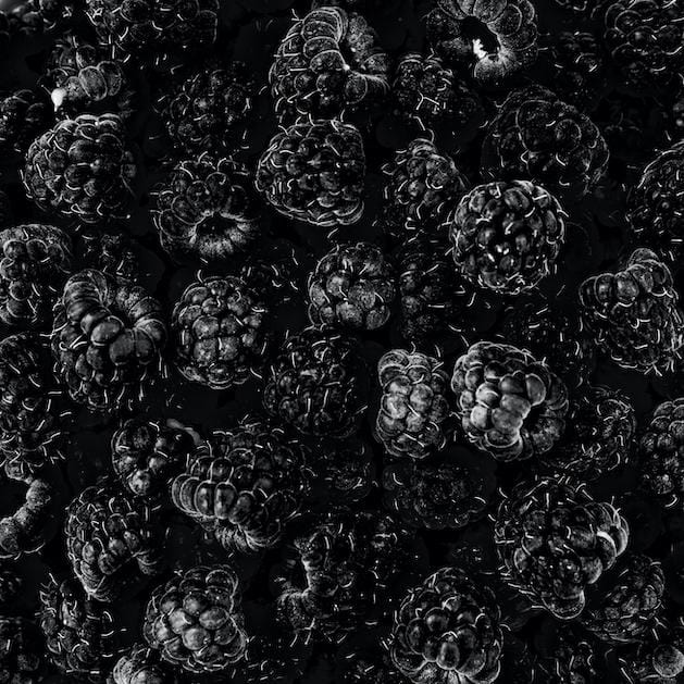 Bunch of Black Raspberries 