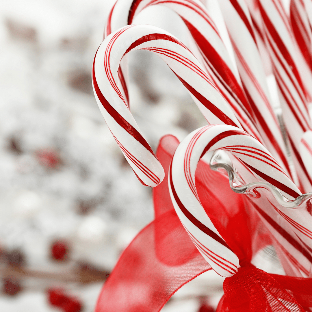 group of red and white candy canes wrapped in ribbon