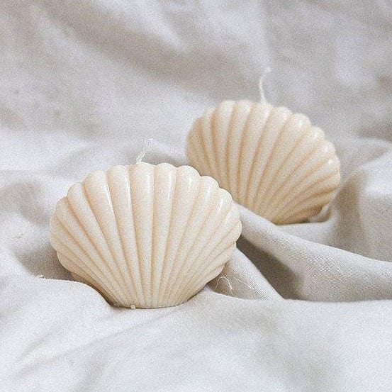clam shell candles in creamy colour with textured grey background
