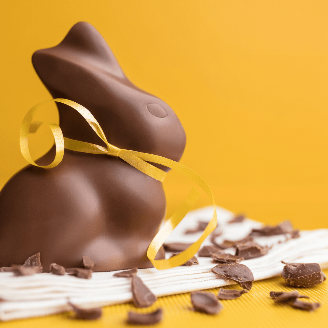 Easter chocolate bunny with gold ribbon around neck and chocolate pieces surrounding