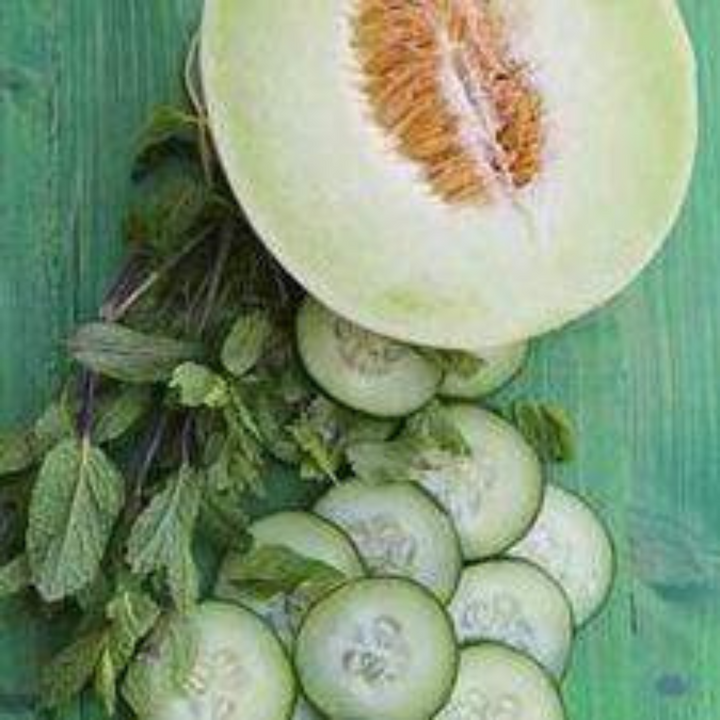 Fragrance Oil - Cucumber & Melon