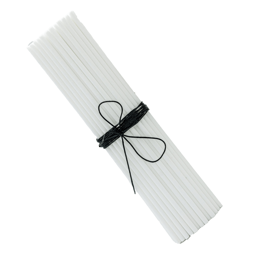 Fibre Reed Sticks - White - 25cm