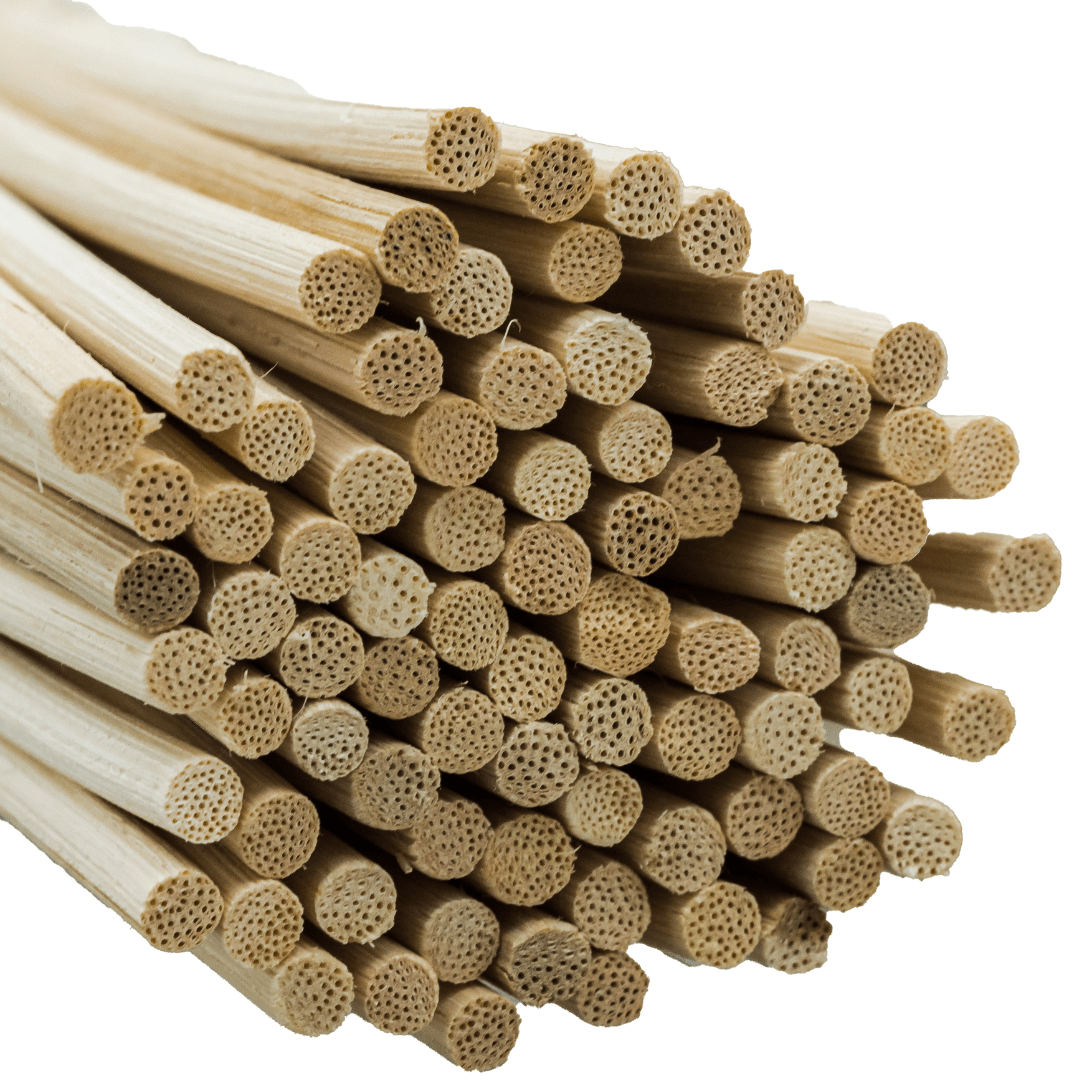 Rattan Reed Sticks - Natural - 20cm
