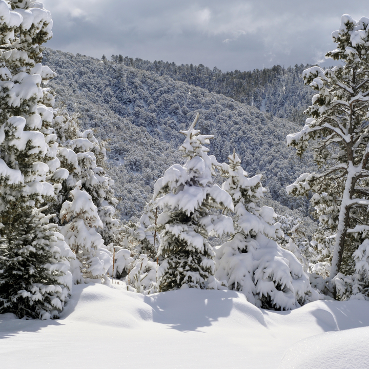 Fragrance oil - Fresh Snow