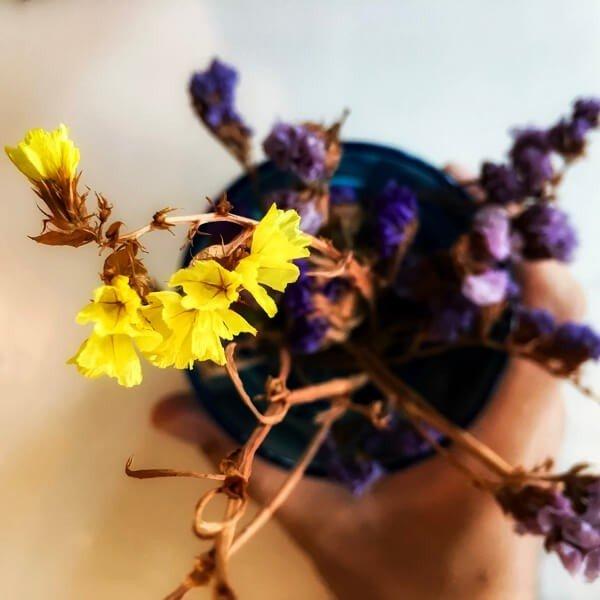 Potted plant of lavendar and ylang ylang floral