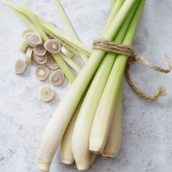 twined bundle of lemongrass stems