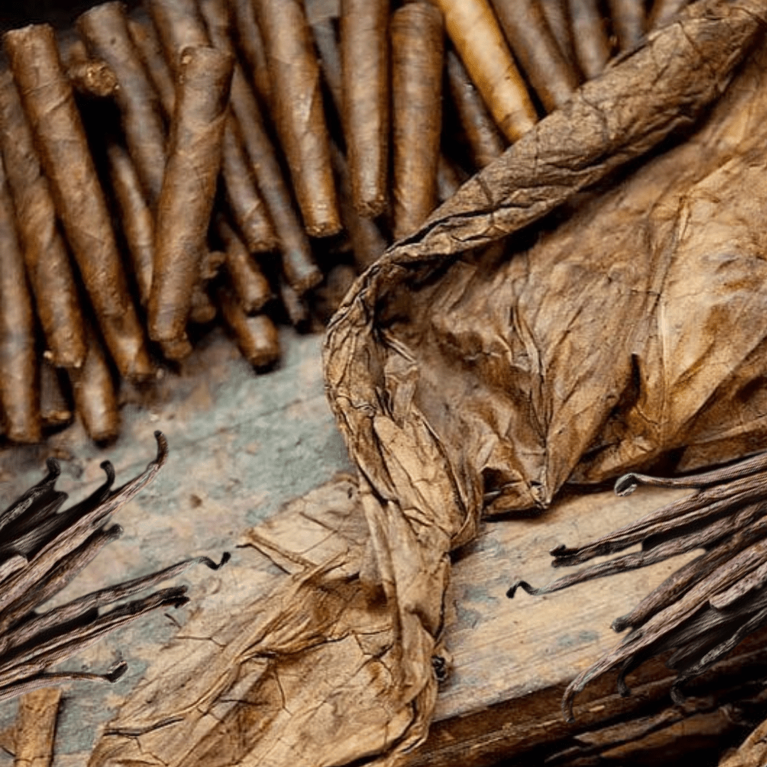 tobacco leaves with vanilla bean quills